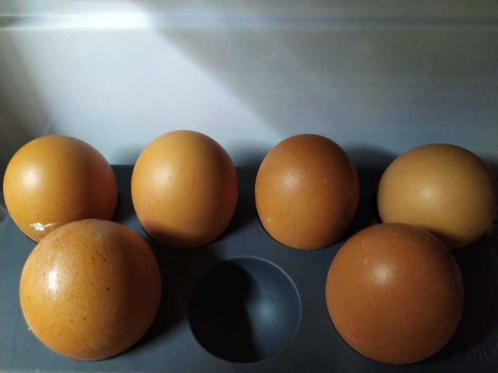 čerstvé vajcia