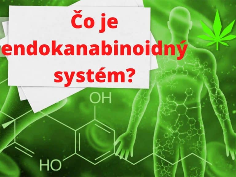 endokanabioidný systém